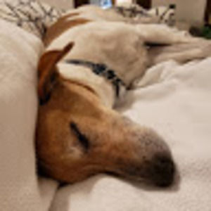 Meet your Posher, M ross